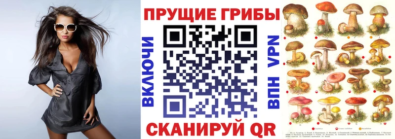 Галлюциногенные грибы ЛСД  Купить где  Томари 